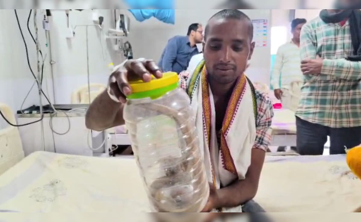 सांप ने काटा तो उसे पकड़कर अस्पताल पहुंचा युवक, बोला- 15 दिन से सपने में आ रहा था सांप, दूध मांग रहा था