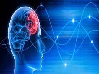 मरने के बाद भी इतने समय तक जिंदा रहता है दिमाग! स्टडी में दावा