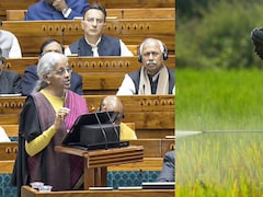 धुरंधर खेत-खलिहान: कृषि को ग्लोबल ब्रांड बनाने की योजना, जानिए बजट में किसानों के लिए हुए क्या-क्या ऐलान