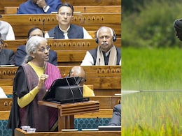 धुरंधर खेत-खलिहान: कृषि को ग्लोबल ब्रांड बनाने की योजना, जानिए बजट में किसानों के लिए हुए क्या-क्या ऐलान