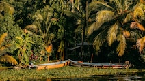 6 Places You Must Visit When In Kerala
