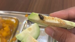 AIIMS-Nagpur Students Allege Worms Found In Hostel Mess Food; Administration Institutes Enquiry