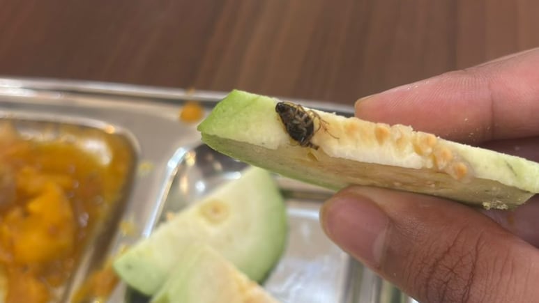 AIIMS-Nagpur Students Allege Worms Found In Hostel Mess Food; Administration Institutes Enquiry