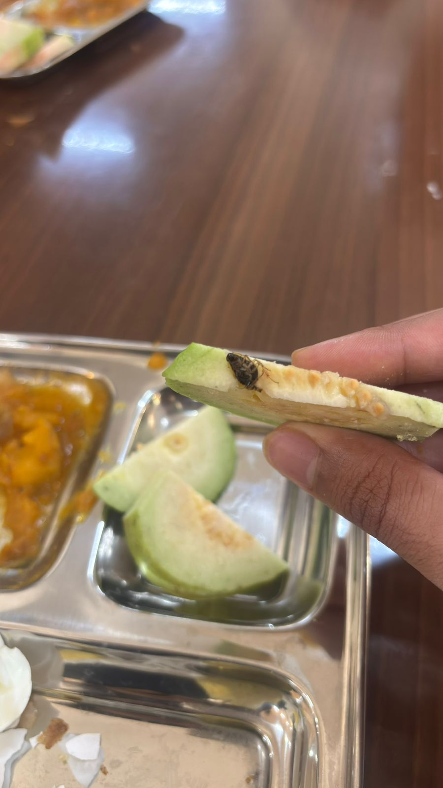 AIIMS-Nagpur Students Allege Worms found in Hostel Mess Food