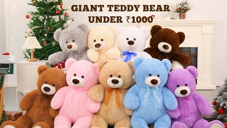 इन प्रीमियम और बजट-फ्रेंडली Giant Teddy Bear के साथ Teddy Day को बनाएं और भी यादगार, कीमत देख नहीं होगा यकीन