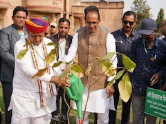 'गेहूं, चावल, मक्का और डेयरी पर दरवाजा बंद', कृषि मंत्री शिवराज बोले- किसी कीमत पर अमेरिका से आयात नहीं 