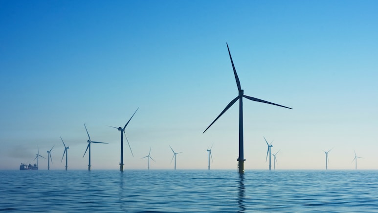 India Needs $22.7 Trillion Investment to Achieve Net Zero Target by 2070: Niti Study