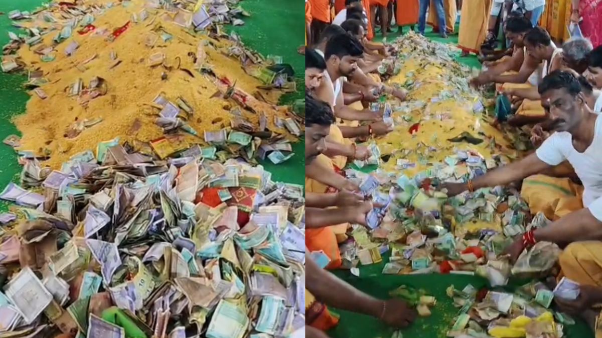 आदिवासी उत्सव में श्रद्धा का सैलाब... दो दिनों में भक्तों ने चढ़ाए 6 करोड़ से ज्यादा रुपये