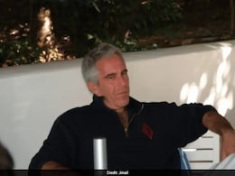 In 2019, Jeffrey Epstein Had $600 Million Estate. Files Reveal Who Gets What