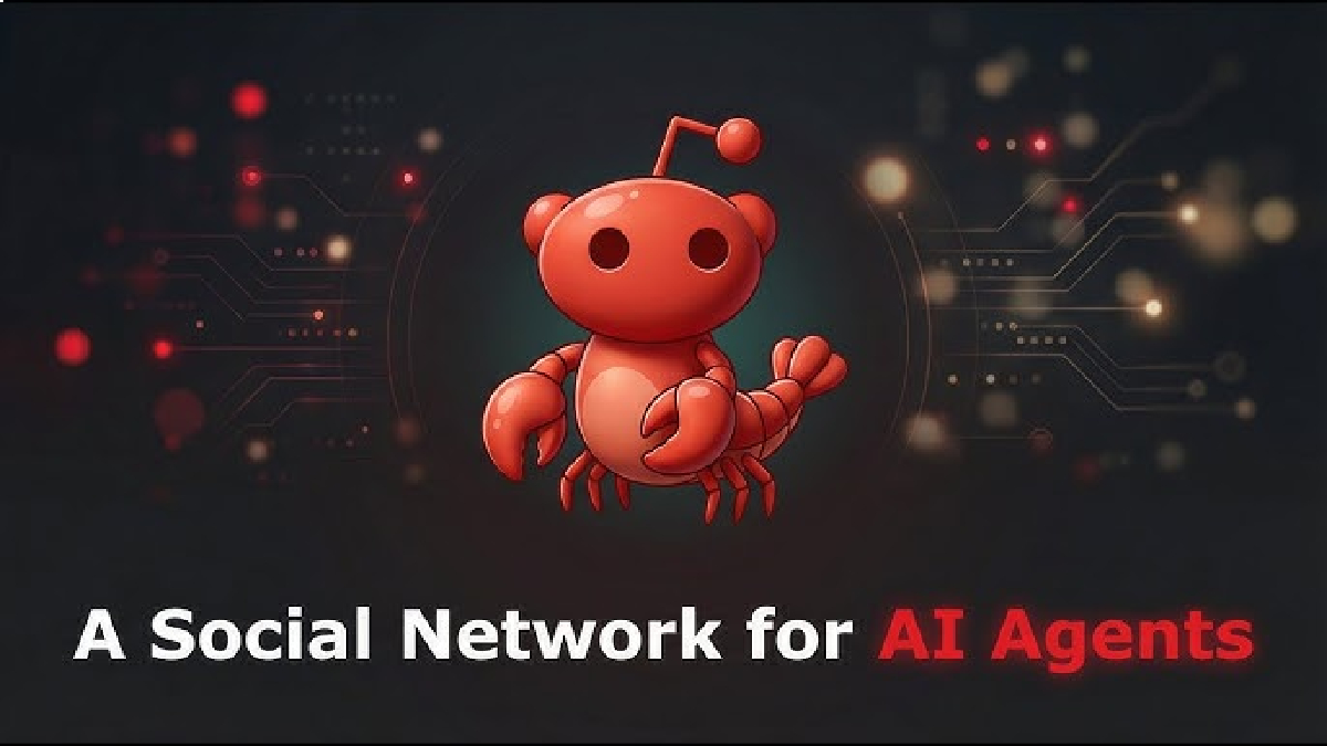 Moltbook: 14 लाख AI एजेंट मिलकर उड़ा रहे इंसानों का मज़ाक, AI की इस दुनिया में इंसानों की 'नो एंट्री!'