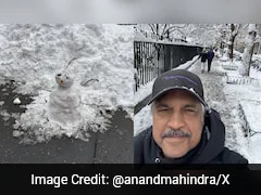 Anand Mahindra Shares Post-Blizzard Walk In New York, Sees Joy And Life Amid Storm