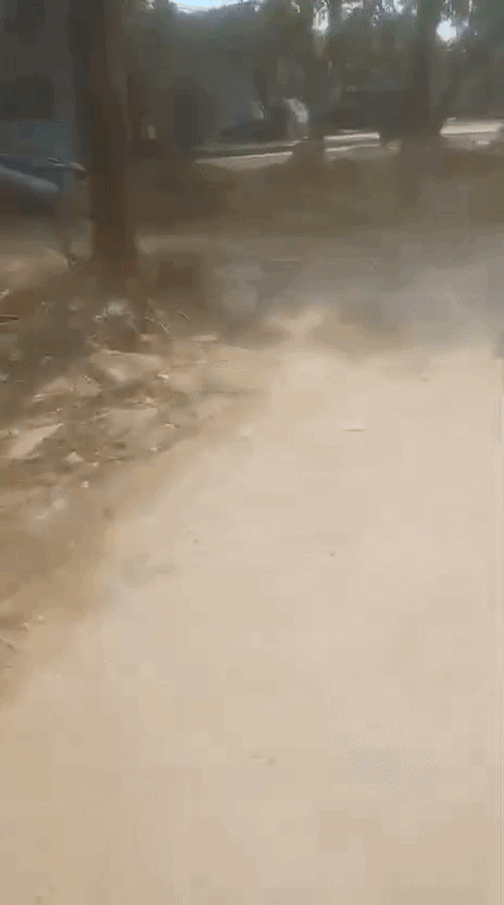 भूमि विवाद में बच्ची को JCB के आगे फेंका... वीडियो देख कांप उठेगी रूह