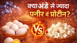 3 उबले अंडे के बराबर प्रोटीन पाया जाता है इस सस्ती सी चीज में, इन लोगों को जरूर करना चाहिए सेवन