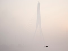 Fog Alert: आज तो गजब कोहरा! सफेद 'धुएं' में सब लापता, दिल्ली NCR में बारिश-कोहरे के साथ ठंड का ट्रिपल अटैक