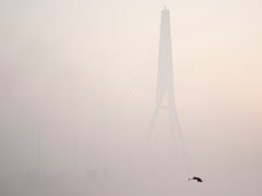 आज तो गजब कोहरा! सफेद 'धुएं' में सब लापता, दिल्ली NCR में बारिश-कोहरे के साथ ठंड का ट्रिपल अटैक