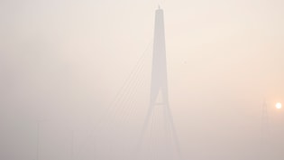 आज तो गजब कोहरा! सफेद 'धुएं' में सब लापता, दिल्ली NCR में बारिश-कोहरे के साथ ठंड का ट्रिपल अटैक