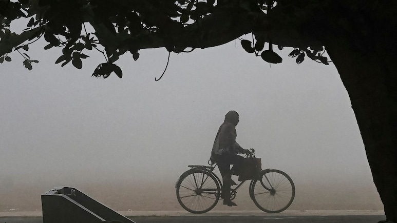Rajasthan Weather:  राजस्थान में थमी पश्चिमी विक्षोभ की हलचल, बाड़मेर में गर्मी तो फतेहपुर में ठिठुरन, अगले 48 घंटे भारी