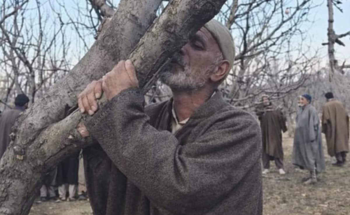 Latest and Breaking News on NDTV Latest and Breaking News on NDTV