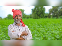 Krishak Unnati Yojana: बजट में प्रावधान, होली से पहले CG के किसानों के खाते में आएंगे 10 हजार करोड़, 25 लाख को मिलेगा फायदा