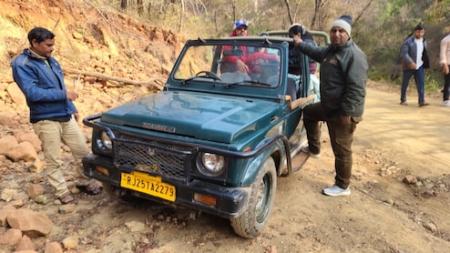 रणंथंभौर में टाइगर सफारी के दौरान बड़ा हादसा टला! फिर उठे पर्यटकों की सुरक्षा पर सवाल