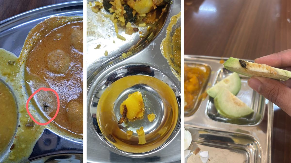 AIIMS नागपुर में मेस के खाने में निकले कीड़े, सब्जी में दिखी मक्खी, सोशल मीडिया पर वायरल हुईं तस्वीरें