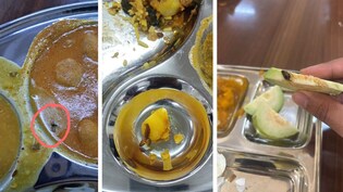 AIIMS नागपुर में मेस के खाने में निकले कीड़े, सब्जी में दिखी मक्खी, सोशल मीडिया पर वायरल हुईं तस्वीरें