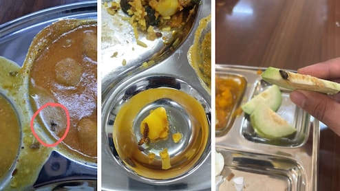 AIIMS नागपुर में मेस के खाने में निकले कीड़े, सब्जी में दिखी मक्खी, सोशल मीडिया पर वायरल हुईं तस्वीरें