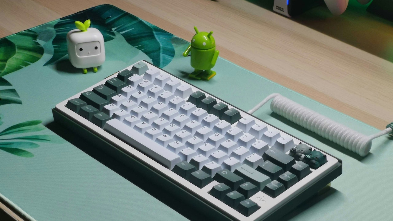 Mechanical vs. Membrane Keyboards: Which is Best for Gaming?
