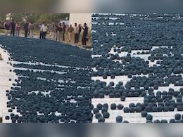 बारां में अवैध पटाखा फैक्ट्री पर छापा, 40 करोड़ की विस्फोटक सामग्री बरामद, दो आरोपी गिरफ्तार हुए