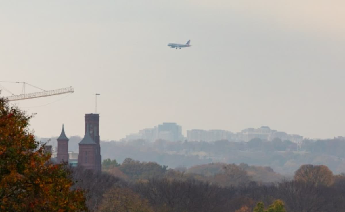 The Art of Baking: From Classic Bread to Artisan Pastries