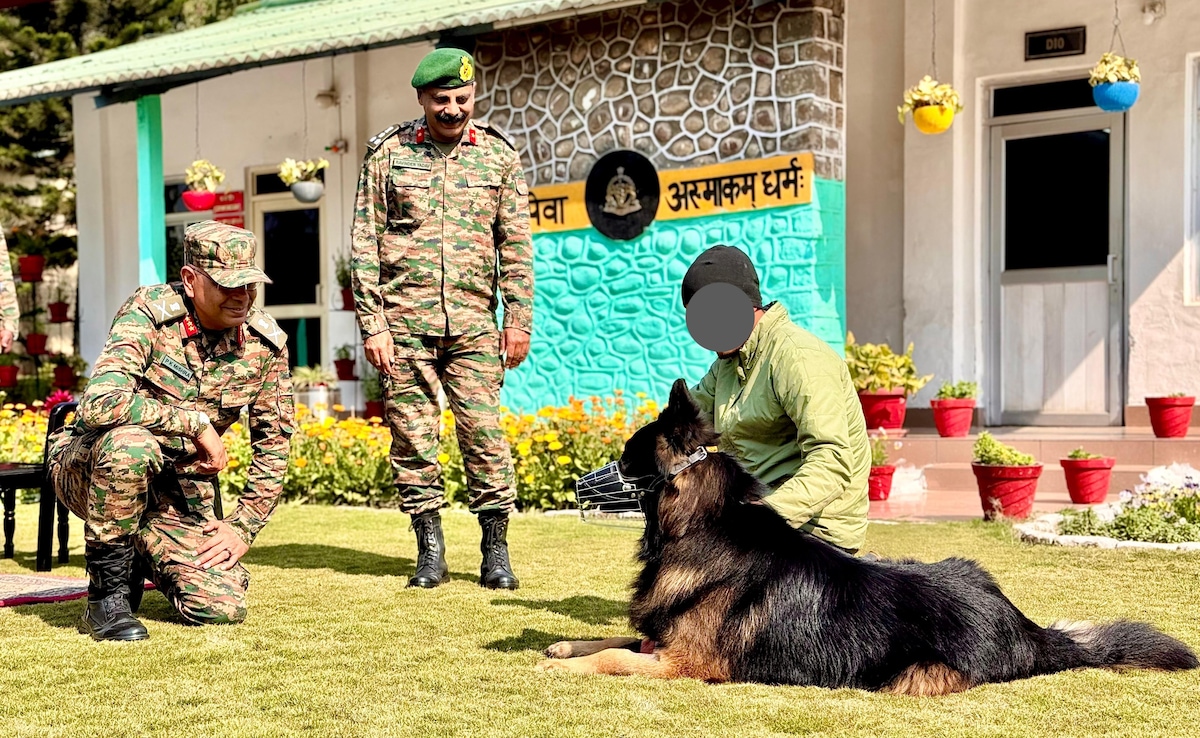 आतंकियों की गोली खाकर भी किया था कमाल, जानिए TYSON का क्या हाल