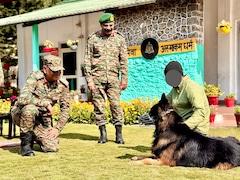 आतंकियों की गोली खाकर भी किया था कमाल, जानिए TYSON का क्या हाल