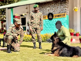 आतंकियों की गोली खाकर भी किया था कमाल, जानिए TYSON का क्या हाल