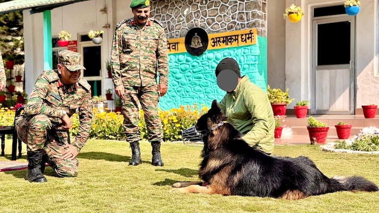 आतंकियों की गोली खाकर भी किया था कमाल, जानिए TYSON का क्या हाल