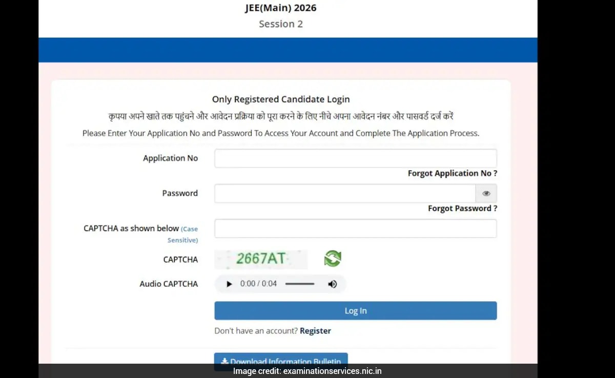 The Art of Baking: From Classic Bread to Artisan Pastries