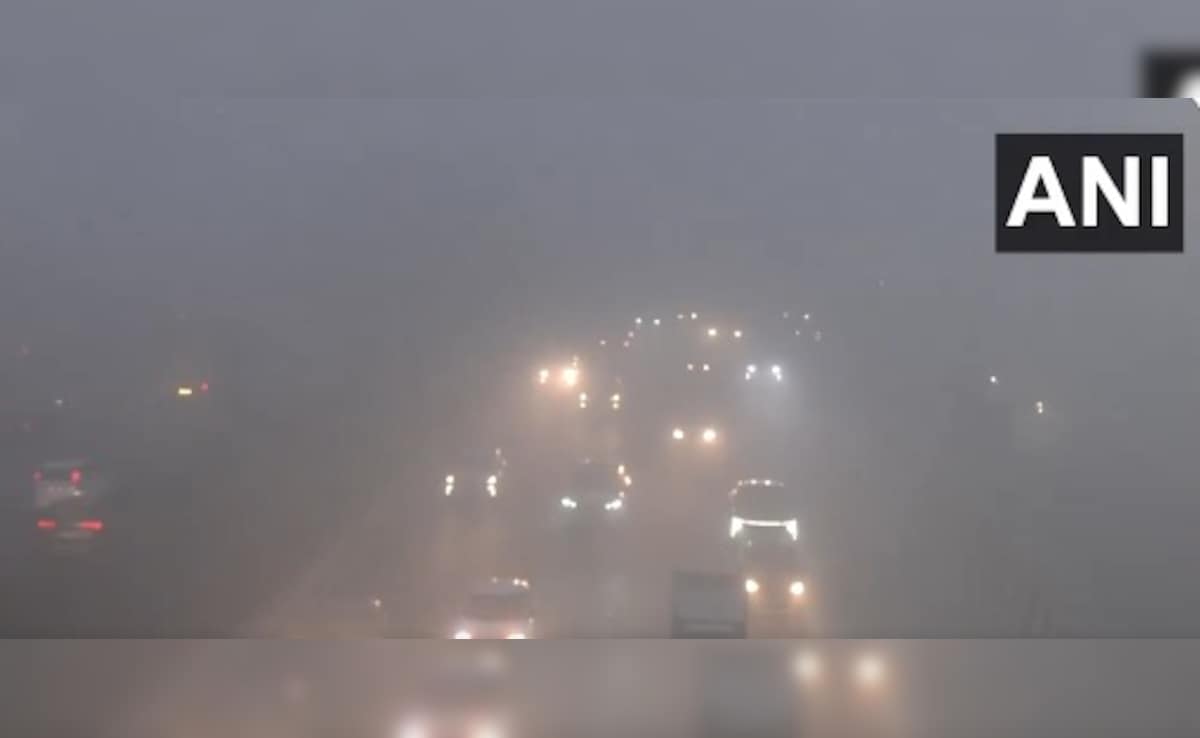 Delhi-NCR Wakes Up To Thick Blanket Of Fog, Air Quality Remains Poor Delhi-NCR Wakes Up To Thick Blanket Of Fog, Air Quality Remains Poor