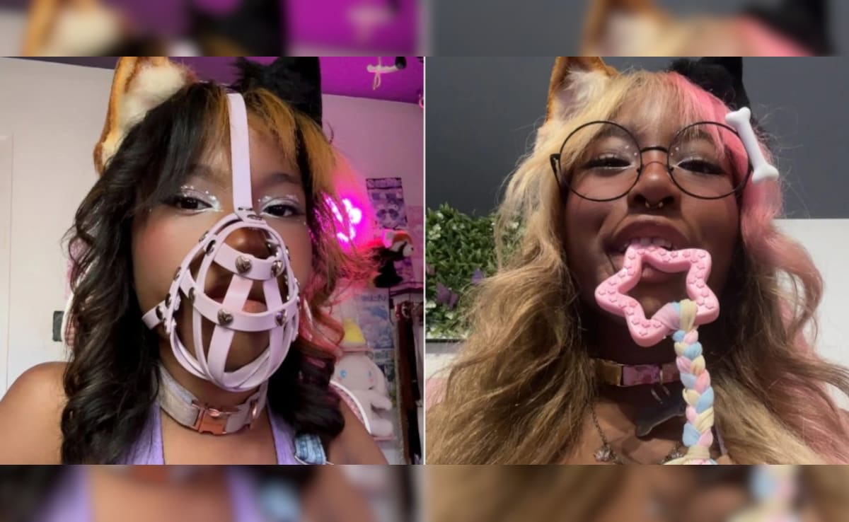 Latest and Breaking News on NDTV Latest and Breaking News on NDTV