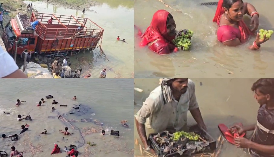 VIDEO: दरभंगा में अंगूर से भरा ट्रक नदी में पलटा, लूटने की मची होड़, महिलाएं भी नहीं रहीं पीछे