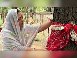 सिर सांठे रूंख रहे... वसुंधरा राजे का खेजड़ी बचाओ आंदोलन के बीच बड़ा ऐलान