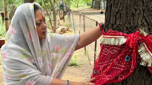 सिर सांठे रूंख रहे... वसुंधरा राजे का खेजड़ी बचाओ आंदोलन के बीच बड़ा ऐलान