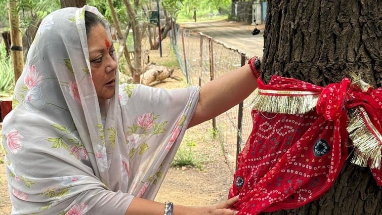 सिर सांठे रूंख रहे... वसुंधरा राजे का खेजड़ी बचाओ आंदोलन के बीच बड़ा ऐलान
