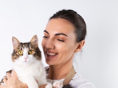 Can Your Cat Get Bird Flu? Risks, Signs And Precautions Explained
