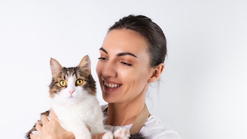 Can Your Cat Get Bird Flu? Risks, Signs And Precautions Explained