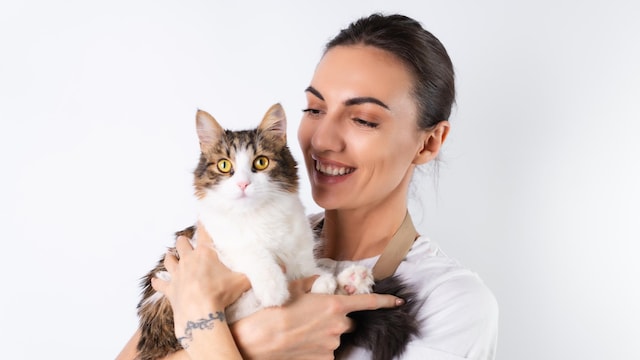 Cats are particularly susceptible to bird flu