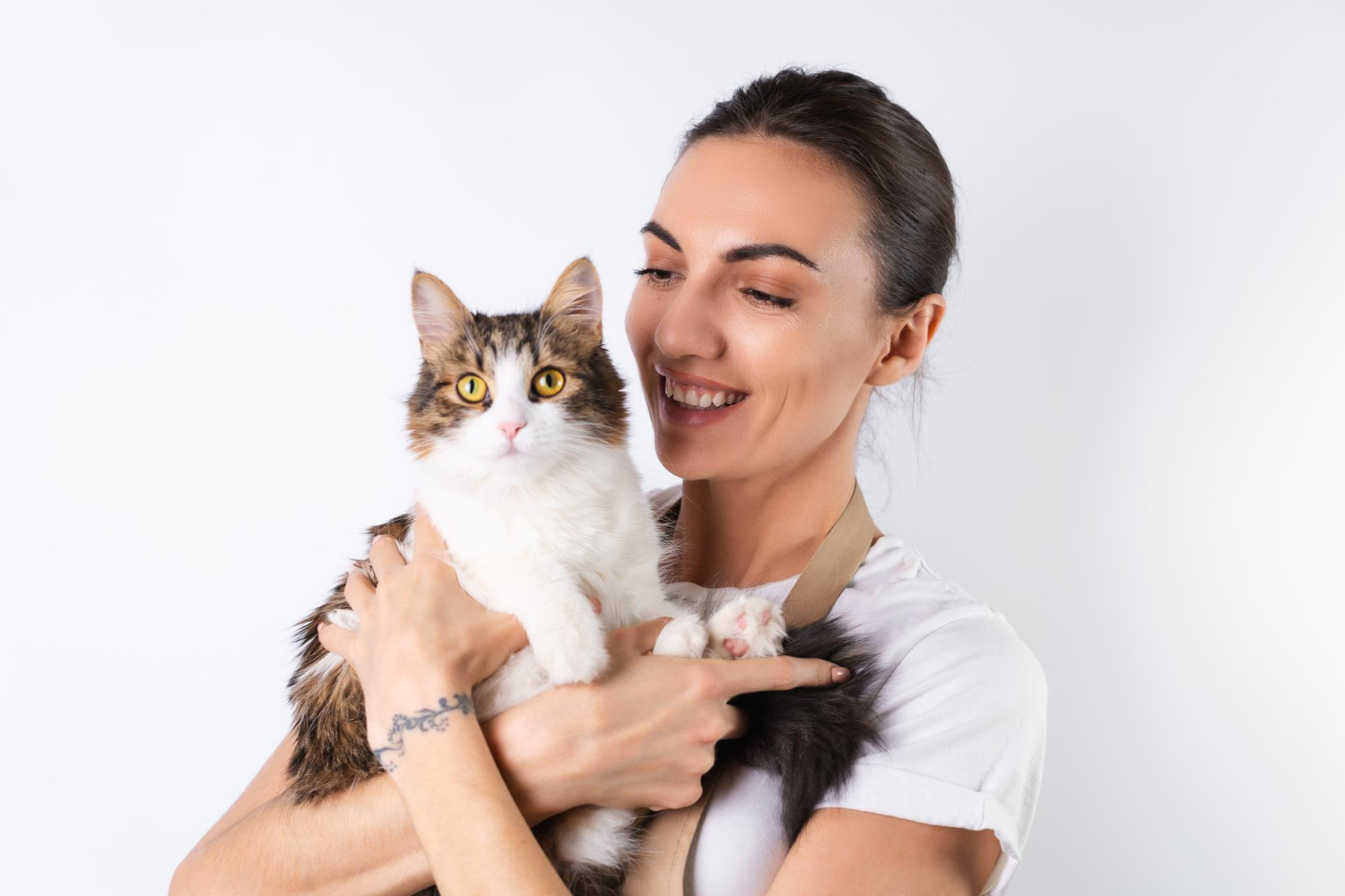 Cats are particularly susceptible to bird flu