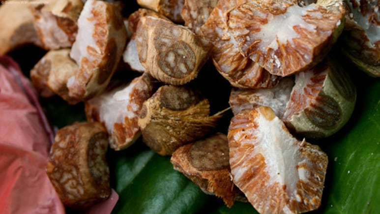 Addicted To Supari? Study Says Betel Nut Raises Heart, Cancer And Metabolic Risks