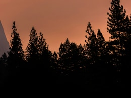 Wildfires Are Making The US Smoggy Again, Reversing Progress On Cleaner Air, Study Finds