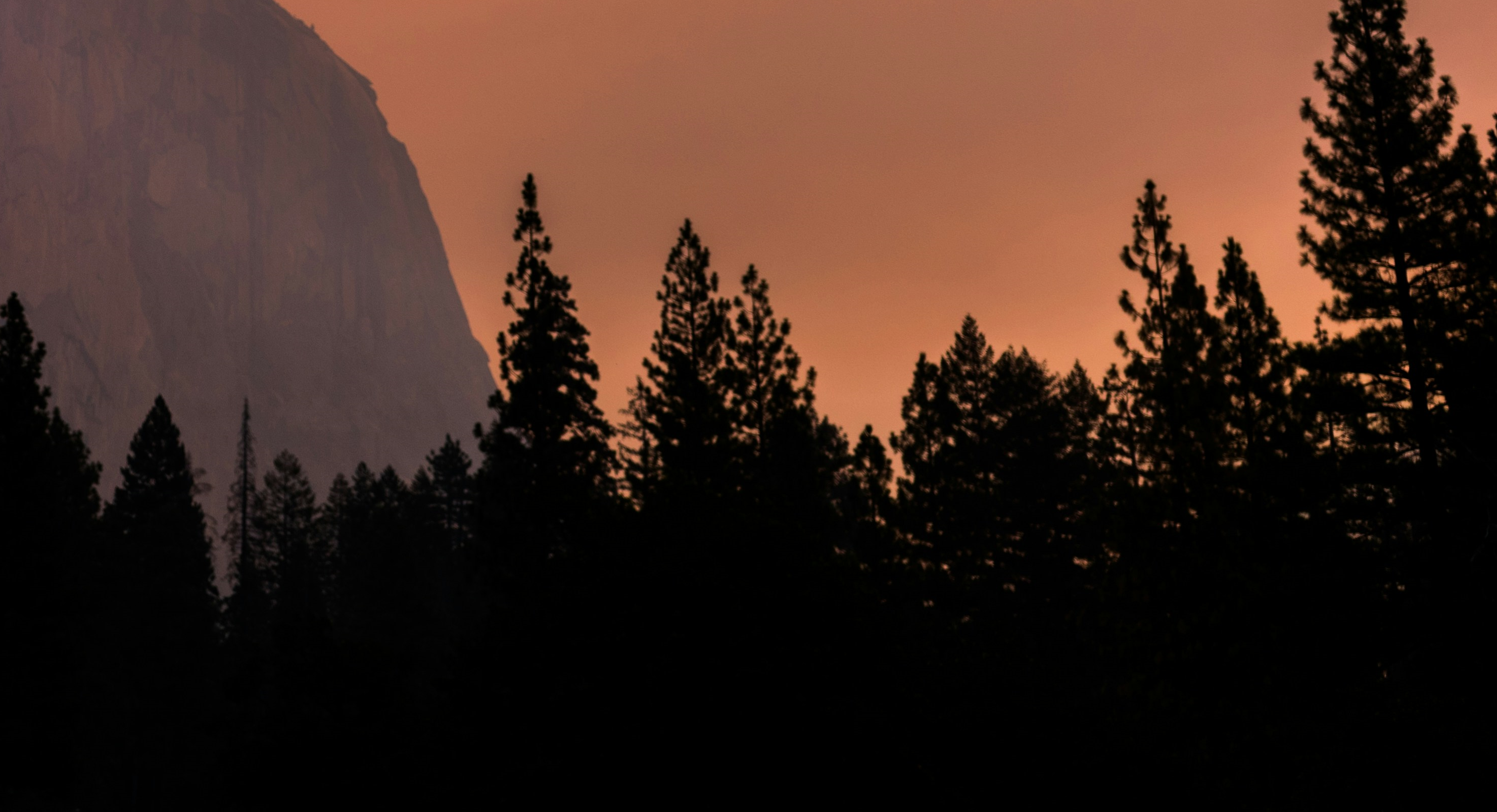 Wildfires Are Making The US Smoggy Again, Reversing Progress On Cleaner Air, Study Finds