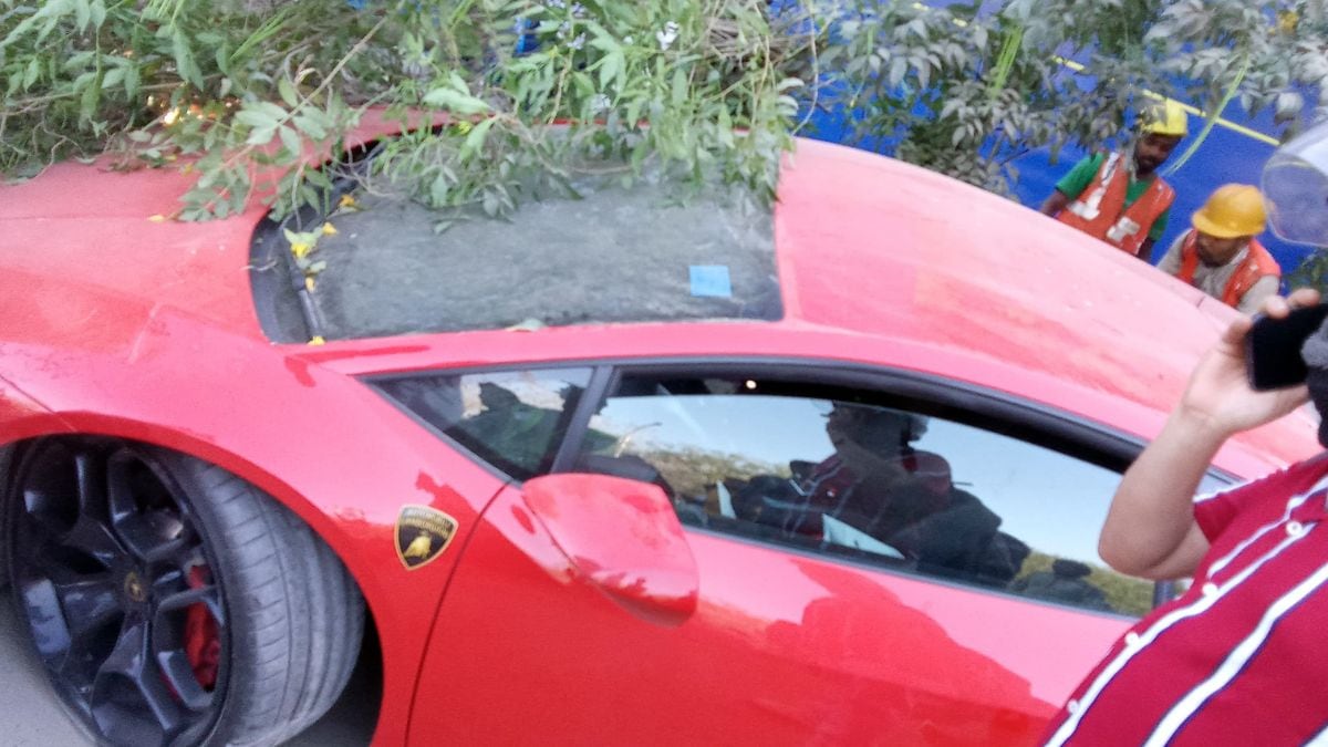 Latest and Breaking News on NDTV