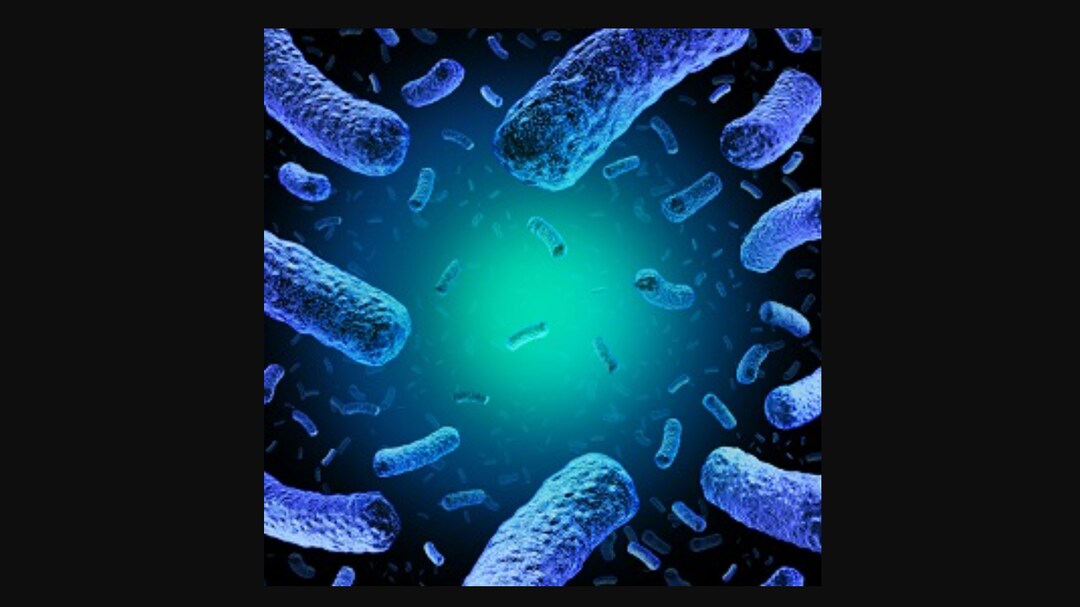 Recall Alert! FDA Recalls Frozen Blueberries Over Life-Threatening Listeria Risk In Several States